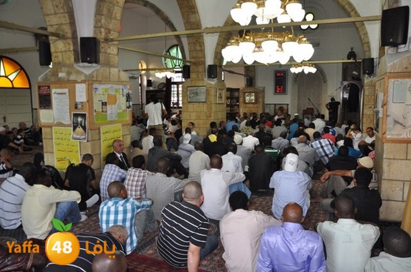 3eed 7san bek 808 (39).JPG